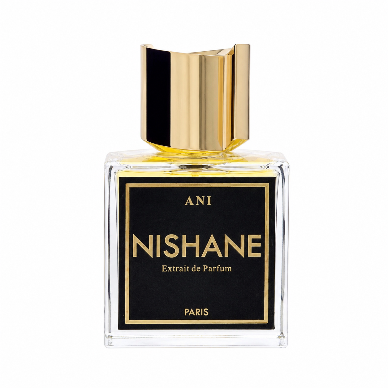 A clear glass perfume bottle with a shiny gold cap and a black label featuring gold lettering that reads 'ANI NISHANE Extrait de Parfum PARIS'. 100ml